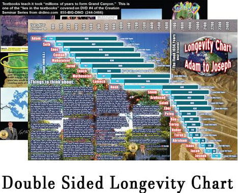 Longevity Charts